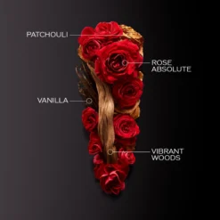 Shiseido Ginza Intense EDP 30 Ml 14 Shiseido Ginza Intense EDP 30 Ml -Nicehair Butik 7686141996942