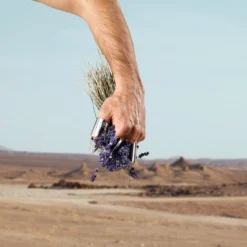 Dolce & Gabbana K Pour Homme EDT 100 Ml -Nicehair Butik 80579711815445