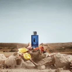 Dolce & Gabbana K For Him EDP 100 Ml 12 Dolce & Gabbana K For Him EDP 100 Ml -Nicehair Butik 80579711831283