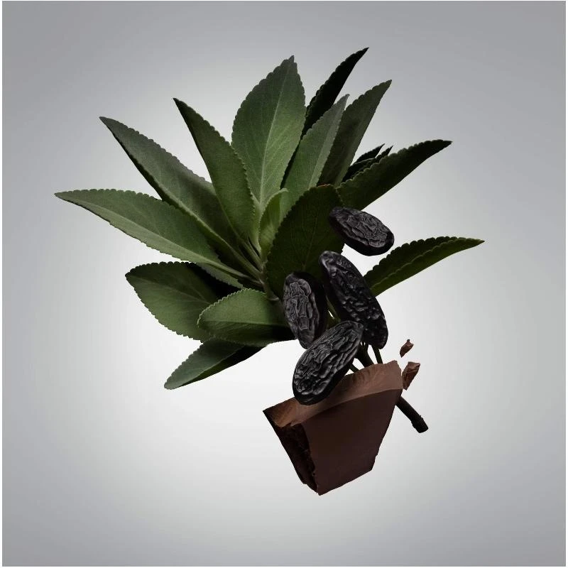 Carolina Herrera Bad Boy Deodorant Stick For Him 75 Gr. 4 Carolina Herrera Bad Boy Deodorant Stick For Him 75 Gr. - Billede 2