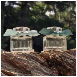 Chloé Signature Rose Naturelle Intense EDP 100 Ml 16 Chloé Signature Rose Naturelle Intense EDP 100 Ml -Nicehair Butik chloe signature rose naturelle intense edp 100 ml 1665041717