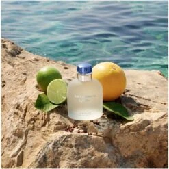 Dolce & Gabbana Light Blue Pour Homme EDT 75 Ml 9 Dolce & Gabbana Light Blue Pour Homme EDT 75 Ml -Nicehair Butik dolce gabbana light blue pour homme edt 75 ml 1655791909
