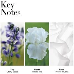 Elizabeth Arden White Tea EDT Gift Set (Limited Edition) -Nicehair Butik elizabeth arden white tea edt gift set limited edition 1667543917