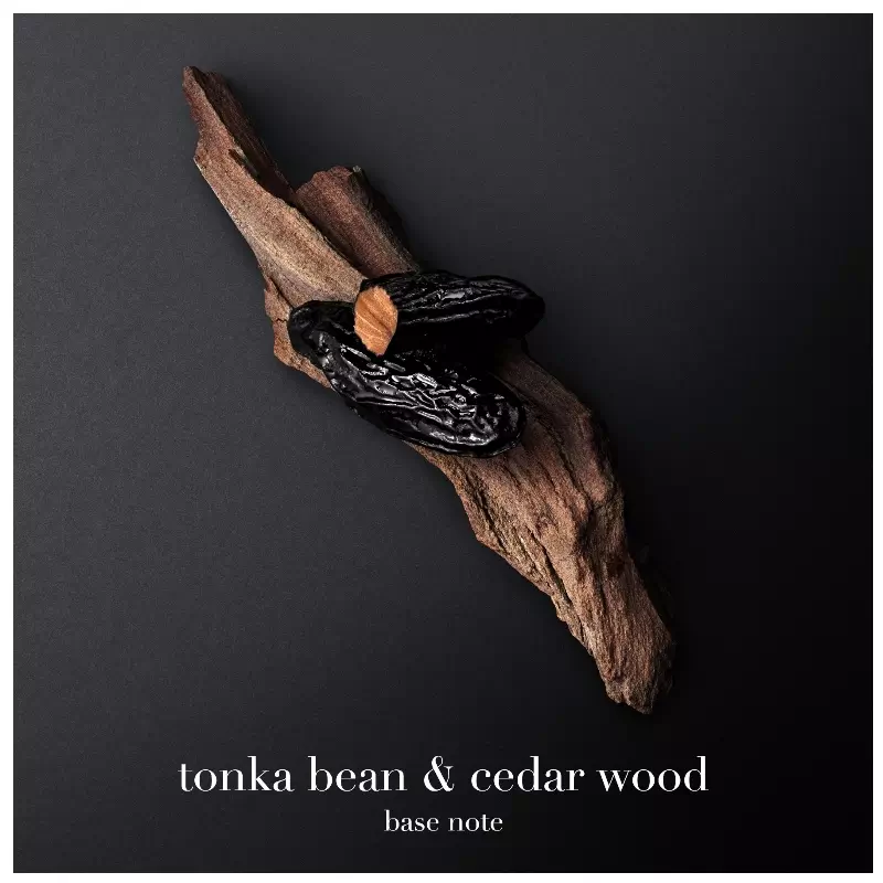 Giorgio Armani Code EDT 75 Ml 6 Giorgio Armani Code EDT 75 Ml - Billede 4