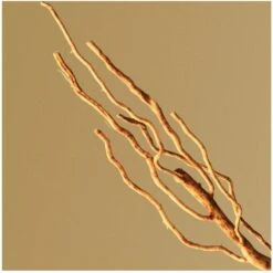 Hugo Boss Bottled EDP 100 Ml 15 Hugo Boss Bottled EDP 100 Ml -Nicehair Butik hugo boss bottled edp 200 ml 1602053488