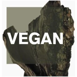 Issey Miyake Cedar EDT 50 Ml -Nicehair Butik issey miyake cedar edt 50 ml 1655983385