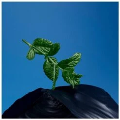 Issey Miyake Fusion D'Issey Extreme EDT 100 Ml -Nicehair Butik issey miyake fusion dissey extreme edt 100 ml 1630925655