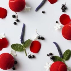 Lacoste L.12.12 French Panache Pour Elle EDT 90 Ml -Nicehair Butik lacoste l1212 french panache pour elle edt 90 ml 1598333324