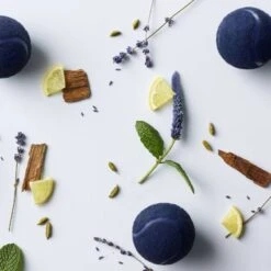 Lacoste L.12.12 French Panache Pour Lui EDT 100 Ml -Nicehair Butik lacoste l1212 french panache pour lui edt 100 ml 1598334185