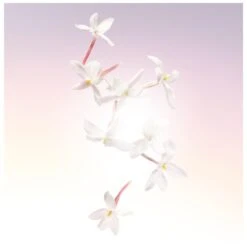 Lancome Lancôme Idôle EDP 75 Ml 18 Lancome Lancôme Idôle EDP 75 Ml -Nicehair Butik lancome idole edp 75 ml 1566551274