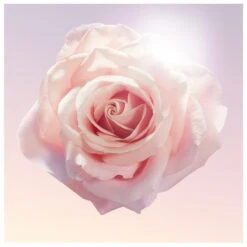 Lancome Lancôme Idôle EDP 75 Ml 20 Lancome Lancôme Idôle EDP 75 Ml -Nicehair Butik lancome idole edp 75 ml 1566551298