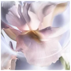 Lancome Lancôme La Vie Est Belle Iris Absolu EDP 30 Ml -Nicehair Butik lancome la vie est belle iris absolu edp 30 ml 1677581365