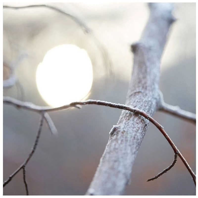 Maison Margiela Replica By The Fireplace EDT 100 Ml 7 Maison Margiela Replica By The Fireplace EDT 100 Ml - Billede 5