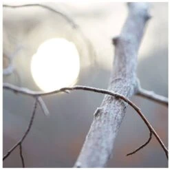 Maison Margiela Replica By The Fireplace EDT 30 Ml -Nicehair Butik maison margiela replica by the fireplace edt 30 ml 1670921154