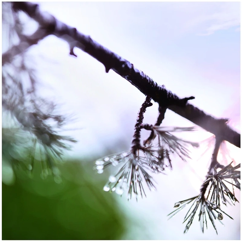 Maison Margiela Replica When The Rain Stops EDT 100 Ml 7 Maison Margiela Replica When The Rain Stops EDT 100 Ml - Billede 5