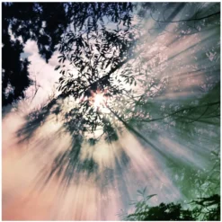 Maison Margiela Replica When The Rain Stops EDT 30 Ml -Nicehair Butik maison margiela replica when the rain stops edt 30 ml 5 1