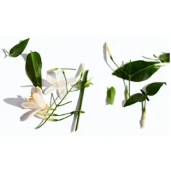 Paco Rabanne Lady Million Deodorant Spray 150 Ml -Nicehair Butik paco rabanne lady million deodorant spray 150 ml 1598358232