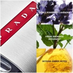 Prada Luna Rossa Carbon Men EDT 100 Ml 10 Prada Luna Rossa Carbon Men EDT 100 Ml -Nicehair Butik prada luna rossa carbon men edt 100 ml 1628140731