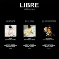 Yves Saint Laurent YSL Libre EDT 30 Ml -Nicehair Butik ysl libre edt 30 ml 1620278748