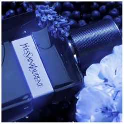 Yves Saint Laurent YSL Y EDP Intense 60 Ml -Nicehair Butik ysl y edp intense 60 ml 1677590088